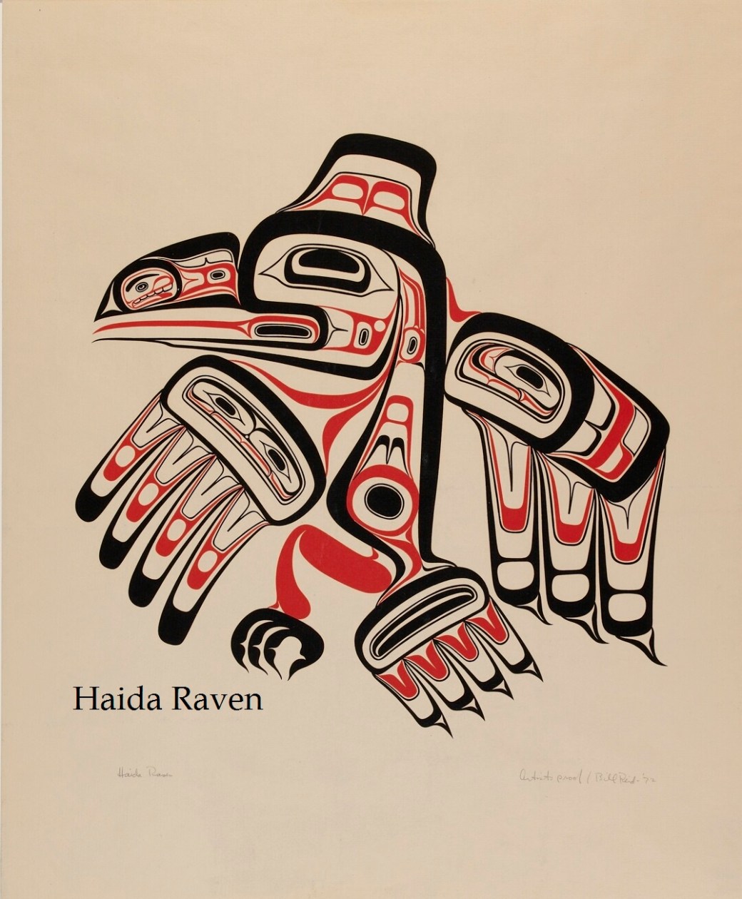 haida raven